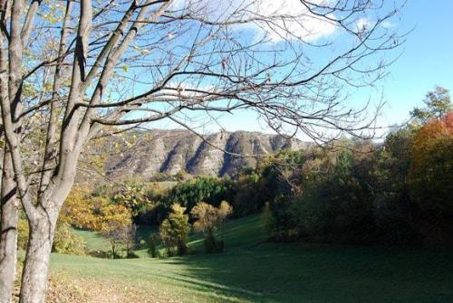 0541-164-800-600-100